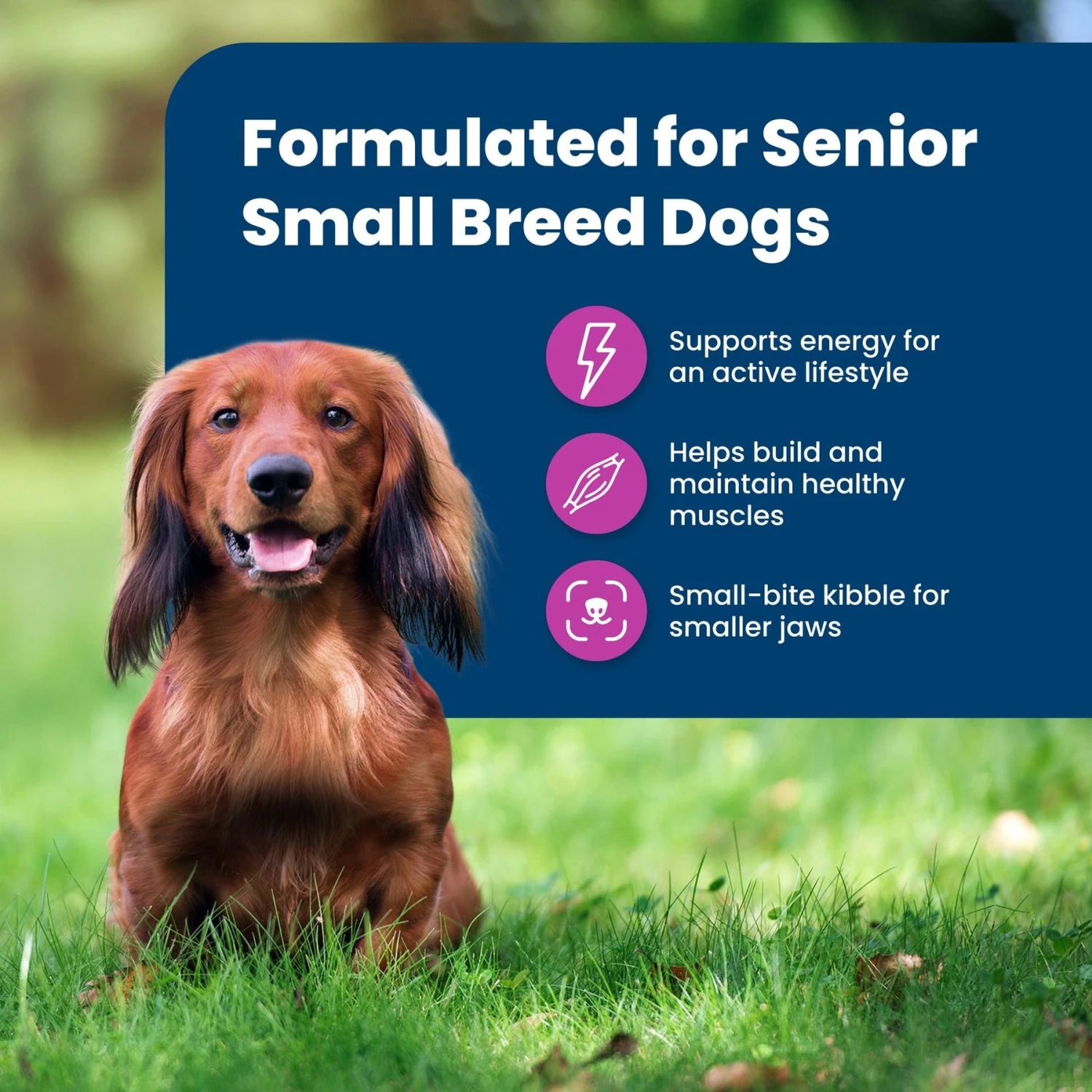Blue Buffalo Life Protection Formula Small Breed Senior Chicken & Brown Rice Recipe Dry Dog Food 4 Blue Buffalo Life Protection Formula Small Breed Senior Chicken & Brown Rice Recipe Dry Dog Food - Image 4
