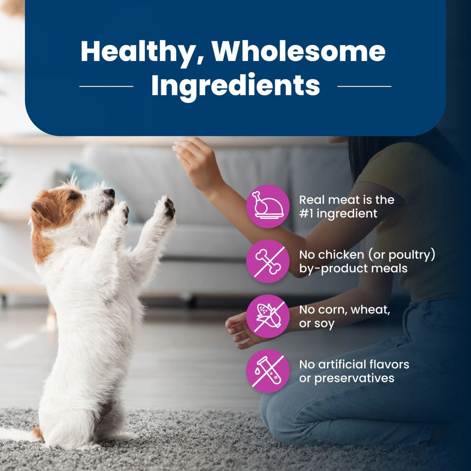 Blue Buffalo Life Protection Formula Small Breed Senior Chicken & Brown Rice Recipe Dry Dog Food 6 Blue Buffalo Life Protection Formula Small Breed Senior Chicken & Brown Rice Recipe Dry Dog Food - Image 6