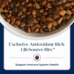 Blue Buffalo Basics Skin & Stomach Care Turkey & Potato Recipe Small Breed Adult Dry Dog Food 16 Blue Buffalo Basics Skin & Stomach Care Turkey & Potato Recipe Small Breed Adult Dry Dog Food -Blue Buffalo 51915 PT7. AC SS1800 V1646266287