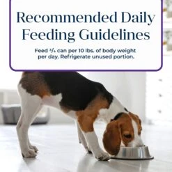 Blue Buffalo Basics Skin & Stomach Care Grain-Free Turkey & Potato Recipe Canned Dog Food -Blue Buffalo 51929 PT8. AC SS1800 V1646271107