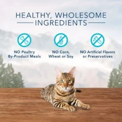 Blue Buffalo Wilderness Chicken & Turkey Grain-Free Cat Treats 9 Blue Buffalo Wilderness Chicken & Turkey Grain-Free Cat Treats -Blue Buffalo 59597 PT3. AC SS1800 V1691703374