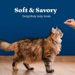 Blue Buffalo Wilderness Chicken & Trout Grain-Free Cat Treats 11 Blue Buffalo Wilderness Chicken & Trout Grain-Free Cat Treats -Blue Buffalo 59598 PT5. AC SS1800 V1691768521