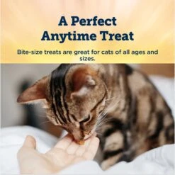 Blue Buffalo True Chews Natural Chewy Chicken Cat Treats -Blue Buffalo 631710 PT3. AC SS1800 V1692037215