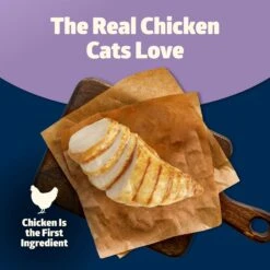 Blue Buffalo Freedom Indoor Adult Chicken Recipe Grain-Free Canned Cat Food 8 Blue Buffalo Freedom Indoor Adult Chicken Recipe Grain-Free Canned Cat Food -Blue Buffalo 64640 PT2. AC SS1800 V1689356964