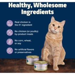 Blue Buffalo Freedom Indoor Adult Chicken Recipe Grain-Free Canned Cat Food 11 Blue Buffalo Freedom Indoor Adult Chicken Recipe Grain-Free Canned Cat Food -Blue Buffalo 64640 PT5. AC SS1800 V1689355753
