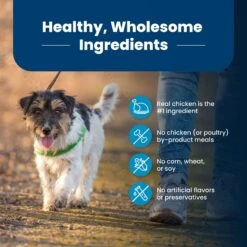 Blue Buffalo Life Protection Formula Small Bite Adult Chicken & Brown Rice Recipe Dry Dog Food 14 Blue Buffalo Life Protection Formula Small Bite Adult Chicken & Brown Rice Recipe Dry Dog Food -Blue Buffalo 64682 PT5. AC SS1800 V1689355682