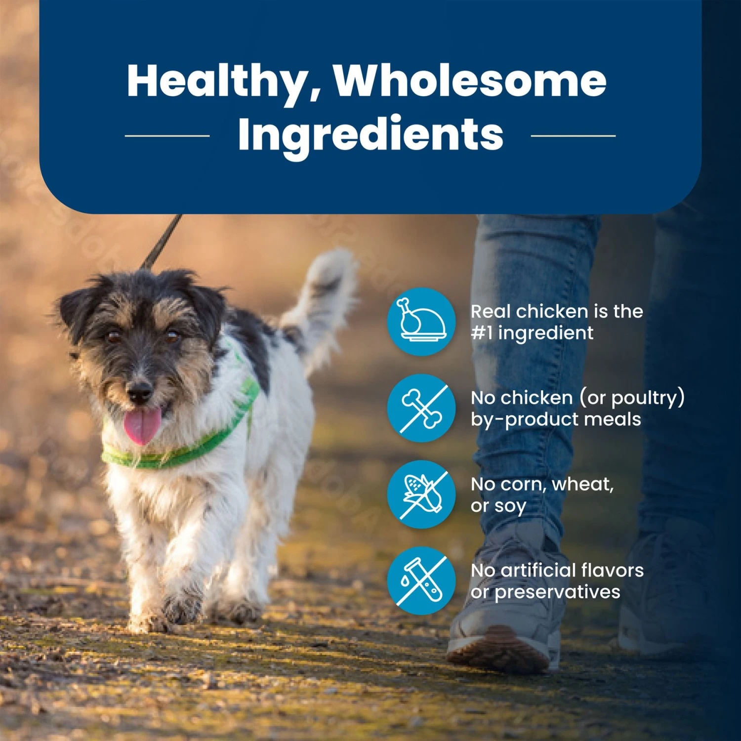 Blue Buffalo Life Protection Formula Small Bite Adult Chicken & Brown Rice Recipe Dry Dog Food 6 Blue Buffalo Life Protection Formula Small Bite Adult Chicken & Brown Rice Recipe Dry Dog Food - Image 6