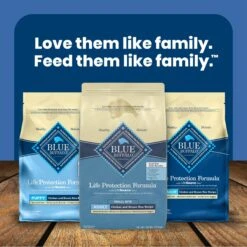 Blue Buffalo Life Protection Formula Small Bite Adult Chicken & Brown Rice Recipe Dry Dog Food 17 Blue Buffalo Life Protection Formula Small Bite Adult Chicken & Brown Rice Recipe Dry Dog Food -Blue Buffalo 64682 PT8. AC SS1800 V1636147627