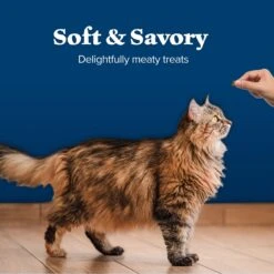 Blue Buffalo Wilderness Chicken & Duck Grain-Free Cat Treats 11 Blue Buffalo Wilderness Chicken & Duck Grain-Free Cat Treats -Blue Buffalo 64723 PT5. AC SS1800 V1691768639