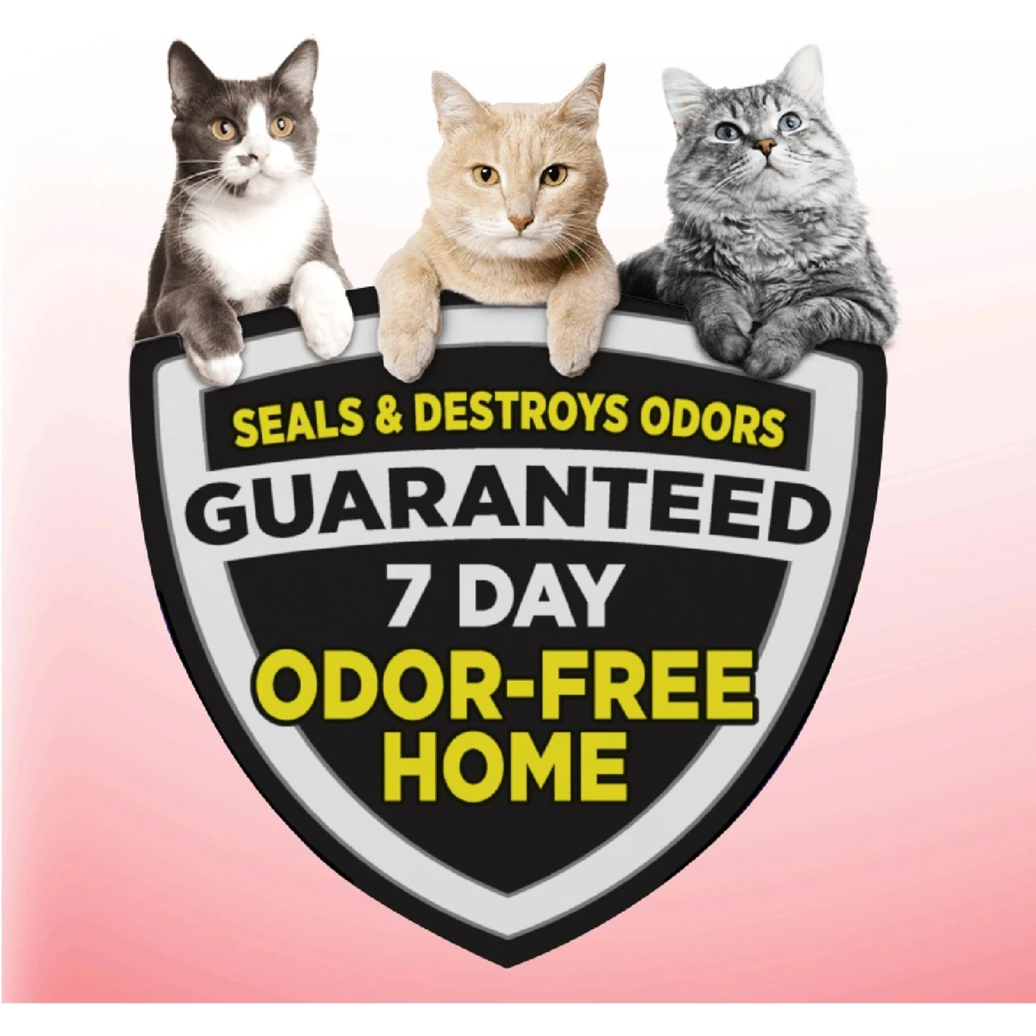 Blue Buffalo Tastefuls Sensitive Stomach Natural Chicken Adult Dry Cat Food & Arm & Hammer Litter Clump & Seal Multi-Cat Scented Clumping Clay Cat Litter 7 Blue Buffalo Tastefuls Sensitive Stomach Natural Chicken Adult Dry Cat Food & Arm & Hammer Litter Clump & Seal Multi-Cat Scented Clumping Clay Cat Litter - Image 7