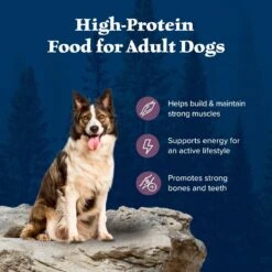 Blue Buffalo Wilderness Rocky Mountain Recipe Adult High Protein Natural Bison & Grain Dry Dog Food, 28-lb Bag -Blue Buffalo 711246 PT3. AC SS1800 V1694548942