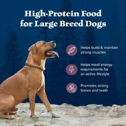 Blue Buffalo Wilderness Rocky Mountain Recipe Large Breed Adult High Protein Natural Bison & Grain Dry Dog Food, 28-lb Bag 12 Blue Buffalo Wilderness Rocky Mountain Recipe Large Breed Adult High Protein Natural Bison & Grain Dry Dog Food, 28-lb Bag -Blue Buffalo 711278 PT3. AC SS1800 V1694549409
