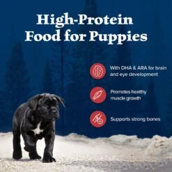 Blue Buffalo Wilderness Rocky Mountain Recipe Puppy High Protein Natural Red Meat & Grain Dry Dog Food 11 Blue Buffalo Wilderness Rocky Mountain Recipe Puppy High Protein Natural Red Meat & Grain Dry Dog Food -Blue Buffalo 711310 PT2. AC SS1800 V1694547716