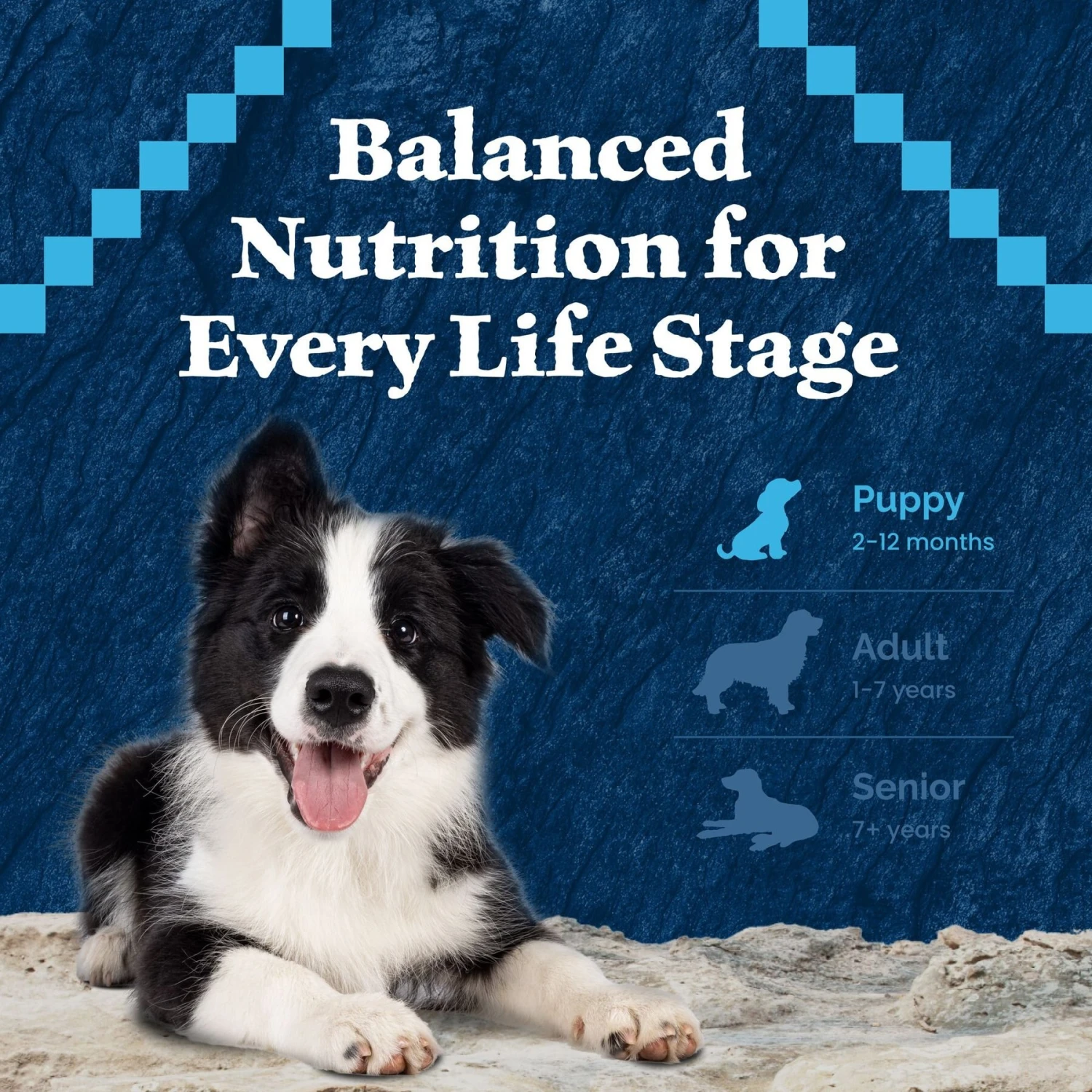 Blue Buffalo Wilderness Rocky Mountain Recipe Puppy High Protein Natural Red Meat & Grain Dry Dog Food 7 Blue Buffalo Wilderness Rocky Mountain Recipe Puppy High Protein Natural Red Meat & Grain Dry Dog Food - Image 7