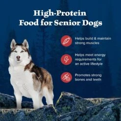 Blue Buffalo Wilderness Rocky Mountain Recipe Senior High Protein Natural Red Meat & Grain Dry Dog Food, 28-lb Bag -Blue Buffalo 711326 PT3. AC SS1800 V1694547714