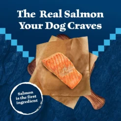 Blue Buffalo Wilderness Adult High Protein Natural Salmon & Wholesome Grains Dry Dog Food -Blue Buffalo 733494 PT2. AC SS1800 V1694550753