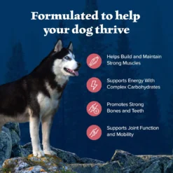 Blue Buffalo Wilderness Adult High Protein Natural Salmon & Wholesome Grains Dry Dog Food -Blue Buffalo 733494 PT3. AC SS1800 V1694550811