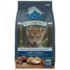 Blue Buffalo Wilderness Puppy High Protein Natural Chicken & Wholesome Grains Dry Dog Food