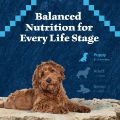 Blue Buffalo Wilderness Puppy High Protein Natural Chicken & Wholesome Grains Dry Dog Food -Blue Buffalo 733510 PT7. AC SS1800 V1694550813