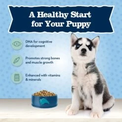 Blue Buffalo High Protein Puppy Chicken Dry Dog Food -Blue Buffalo 735390 PT3. AC SS1800 V1671130392