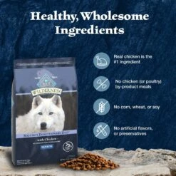 Blue Buffalo Wilderness Senior High Protein Natural Chicken & Wholesome Grains Dry Dog Food -Blue Buffalo 735454 PT5. AC SS1800 V1694550751