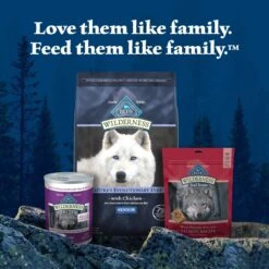Blue Buffalo Wilderness Senior High Protein Natural Chicken & Wholesome Grains Dry Dog Food -Blue Buffalo 735454 PT8. AC SS1800 V1694538072