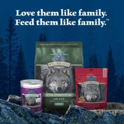 Blue Buffalo Wilderness Adult High Protein Natural Duck & Wholesome Grains Dry Dog Food -Blue Buffalo 735486 PT8. AC SS1800 V1694547774