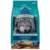 Blue Buffalo Wilderness Large Breed Adult High Protein Natural Salmon & Wholesome Grains Dry Dog Food, 28-lb Bag