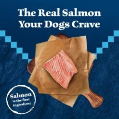 Blue Buffalo Wilderness Large Breed Adult High Protein Natural Salmon & Wholesome Grains Dry Dog Food, 28-lb Bag -Blue Buffalo 735518 PT2. AC SS1800 V1694547774