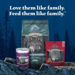 Blue Buffalo Wilderness Large Breed Adult High Protein Natural Salmon & Wholesome Grains Dry Dog Food, 28-lb Bag -Blue Buffalo 735518 PT8. AC SS1800 V1694547090