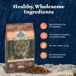 Blue Buffalo Wilderness Large Breed Puppy High Protein Natural Chicken & Wholesome Grains Dry Dog Food, 28-lb Bag -Blue Buffalo 735534 PT5. AC SS1800 V1694548942