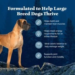 Blue Buffalo Wilderness Large Breed Healthy Weight Adult High Protein Natural Chicken & Wholesome Grains Dry Dog Food, 28-lb Bag -Blue Buffalo 735550 PT3. AC SS1800 V1694548943