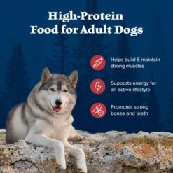 Blue Buffalo Wilderness Rocky Mountain Recipe Adult High Protein Natural Red Meat & Grain Dry Dog Food -Blue Buffalo 735590 PT3. AC SS1800 V1694547716