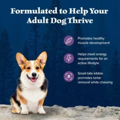 Blue Buffalo Wilderness Adult Small Bite High Protein Natural Chicken & Wholesome Grains Dry Dog Food -Blue Buffalo 735670 PT3. AC SS1800 V1694548888