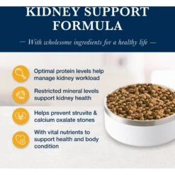 Blue Buffalo Natural Veterinary Diet KS Kidney Support Dry Dog Food -Blue Buffalo 744862 PT2. AC SS1800 V1695494752
