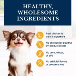 Blue Buffalo Natural Veterinary Diet KS Kidney Support Dry Dog Food -Blue Buffalo 744862 PT5. AC SS1800 V1695495225