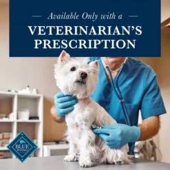 Blue Buffalo Natural Veterinary Diet KS Kidney Support Dry Dog Food -Blue Buffalo 744862 PT6. AC SS1800 V1695494755