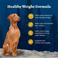 Blue Buffalo Wilderness Healthy Weight Adult High Protein Natural Chicken & Wholesome Grains Dry Dog Food -Blue Buffalo 748262 PT3. AC SS1800 V1694548887