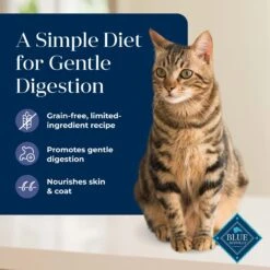 Blue Buffalo Basics Skin & Stomach Care Grain-Free Formula Duck & Potato Indoor Adult Dry Cat Food -Blue Buffalo 75578 PT2. AC SS1800 V1646272582