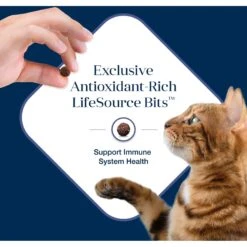 Blue Buffalo Basics Skin & Stomach Care Grain-Free Formula Duck & Potato Indoor Adult Dry Cat Food -Blue Buffalo 75578 PT6. AC SS1800 V1646281582