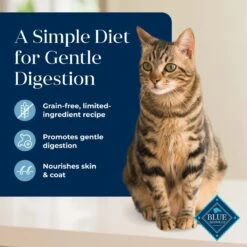 Blue Buffalo Basics Skin & Stomach Care Grain-Free Formula Fish & Potato Indoor Adult Dry Cat Food 11 Blue Buffalo Basics Skin & Stomach Care Grain-Free Formula Fish & Potato Indoor Adult Dry Cat Food -Blue Buffalo 75581 PT2. AC SS1800 V1646257919
