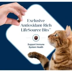 Blue Buffalo Basics Skin & Stomach Care Grain-Free Formula Fish & Potato Indoor Adult Dry Cat Food 15 Blue Buffalo Basics Skin & Stomach Care Grain-Free Formula Fish & Potato Indoor Adult Dry Cat Food -Blue Buffalo 75581 PT6. AC SS1800 V1646251593