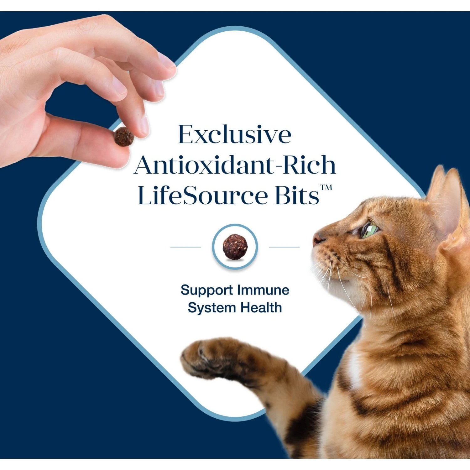 Blue Buffalo Basics Skin & Stomach Care Grain-Free Formula Fish & Potato Indoor Adult Dry Cat Food 7 Blue Buffalo Basics Skin & Stomach Care Grain-Free Formula Fish & Potato Indoor Adult Dry Cat Food - Image 7