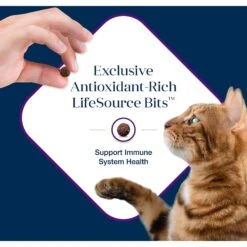 Blue Buffalo Basics Skin & Stomach Care Grain-Free Formula Turkey & Potato Indoor Mature Dry Cat Food -Blue Buffalo 75584 PT6. AC SS1800 V1646272886