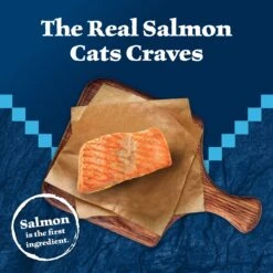 Blue Buffalo Wilderness Kitten Salmon Grain-Free Canned Cat Food -Blue Buffalo 75637 PT2. AC SS1800 V1646779588