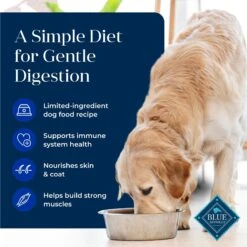 Blue Buffalo Basics Skin & Stomach Care Grain-Free Formula Duck & Potato Recipe Adult Dry Dog Food -Blue Buffalo 75650 PT2. AC SS1800 V1646274707