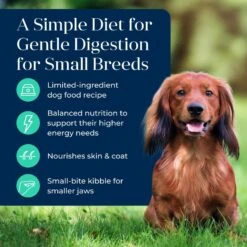 Blue Buffalo Basics Skin & Stomach Care Grain-Free Formula Lamb & Potato Recipe Small Breed Adult Dry Dog Food -Blue Buffalo 75684 PT2. AC SS1800 V1646270782