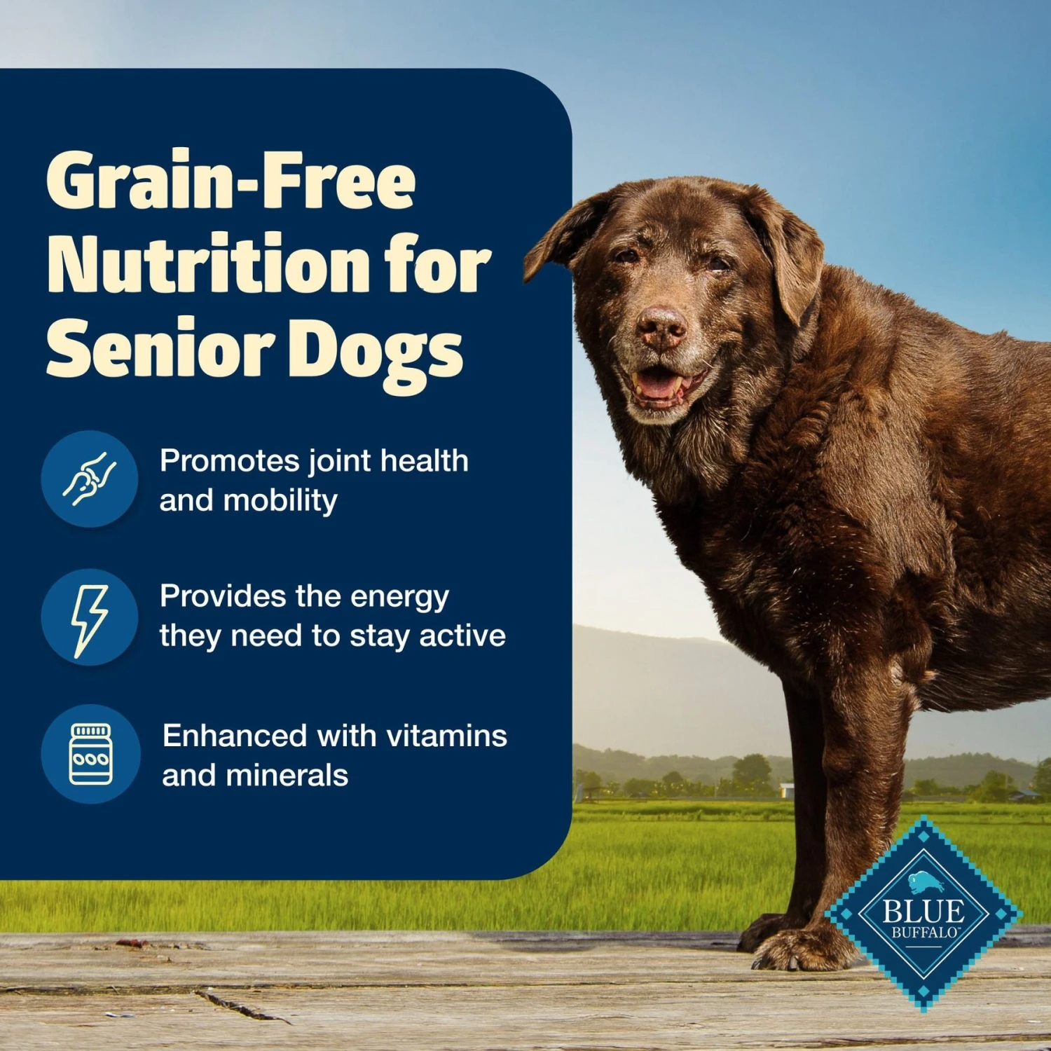 Blue Buffalo Freedom Senior Chicken Recipe Grain-Free Dry Dog Food 2 Blue Buffalo Freedom Senior Chicken Recipe Grain-Free Dry Dog Food - Image 2