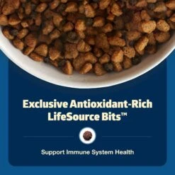 Blue Buffalo Freedom Senior Chicken Recipe Grain-Free Dry Dog Food 13 Blue Buffalo Freedom Senior Chicken Recipe Grain-Free Dry Dog Food -Blue Buffalo 75733 PT6. AC SS1800 V1649134594