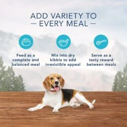 Blue Buffalo Wilderness Healthy Weight Turkey & Chicken Grill Grain-Free Adult Canned Dog Food -Blue Buffalo 75743 PT4. AC SS1800 V1646792488